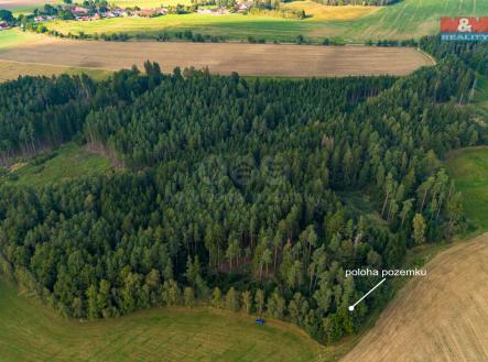 Prodej - pozemek, les, 248 m²