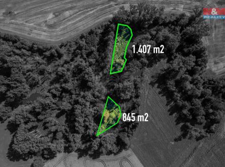Prodej - pozemek, les, 2 252 m²