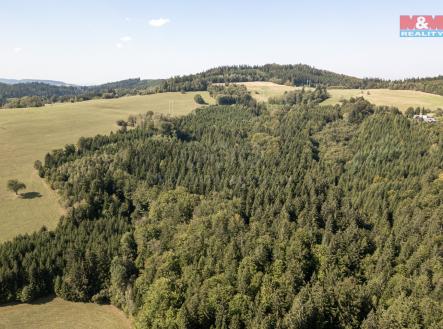 Prodej - pozemek, les, 8 743 m²