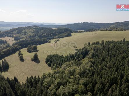 Prodej - pozemek, les, 8 743 m²