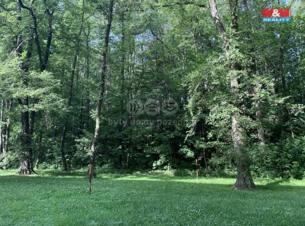 Prodej pozemku, les, 9 272 m²