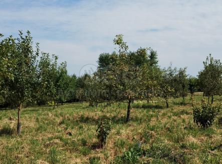 Prodej - pozemek, zahrada, 5 861 m²