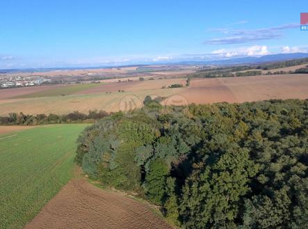 Prodej - pozemek, les, 1 790 m²