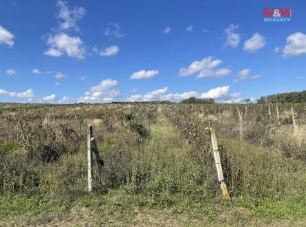 Prodej - pozemek, zemědělská půda, 2 067 m²