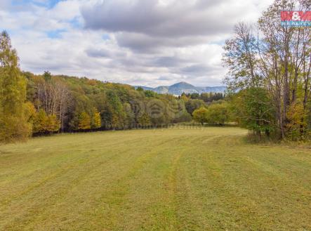 Prodej - pozemek pro bydlení, 4 239 m²