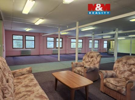 Pronájem obchodní prostor, 260 m²
