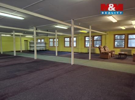 Pronájem obchodní prostor, 260 m²