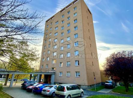 Prodej bytu, 1+kk, 22 m²