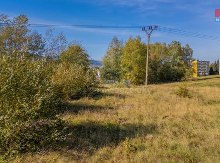 Prodej - pozemek, trvalý travní porost, 4 547 m²