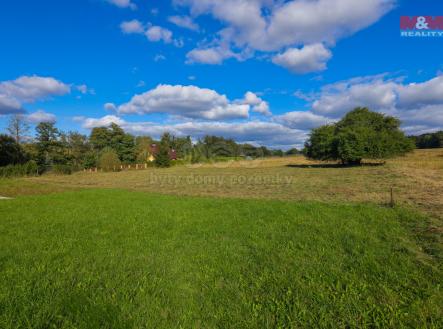 Prodej - pozemek pro bydlení, 1 301 m²