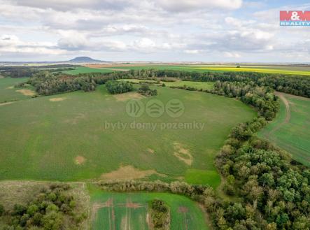 Prodej - pozemek, zemědělská půda, 11 006 m²