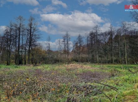 Prodej - pozemek pro bydlení, 1 000 m²