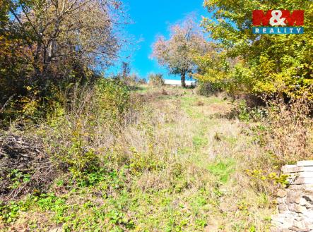 Prodej pozemku, zahrada, 601 m²