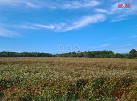 Prodej - pozemek, zemědělská půda, 5 001 m²