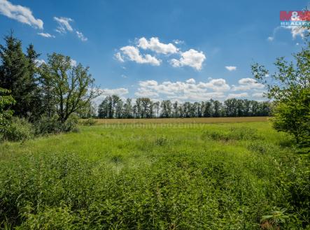 Prodej - pozemek pro bydlení, 1 342 m²