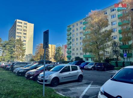 Prodej bytu, 1+1, 29 m²