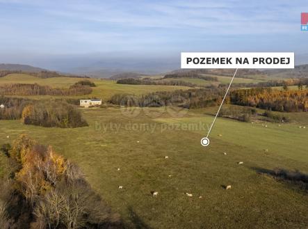 Prodej - pozemek, trvalý travní porost, 30 300 m²