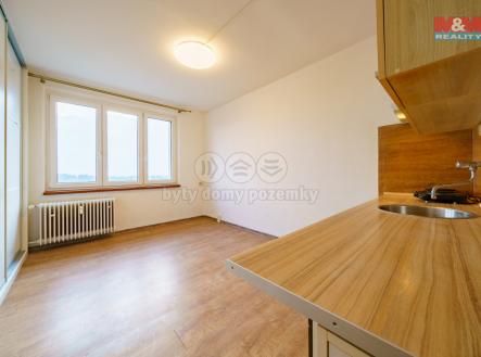 Pronájem bytu, 1+kk, 20 m²