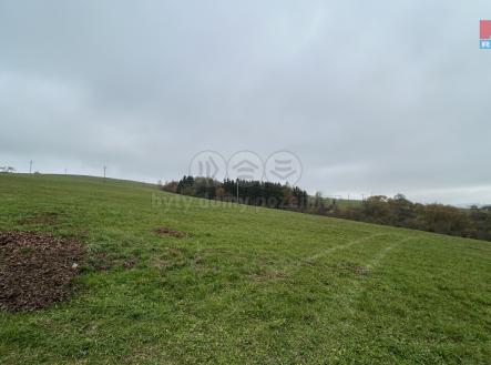 Prodej - pozemek, zemědělská půda, 10 258 m²