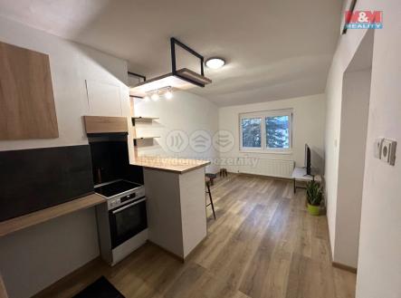 Pronájem bytu, 1+kk, 30 m²