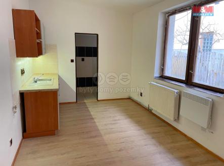 Pronájem bytu, 1+kk, 21 m²