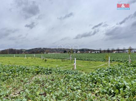 Prodej - pozemek, zemědělská půda, 3 492 m²