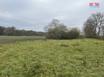 Prodej - pozemek, trvalý travní porost, 794 m²