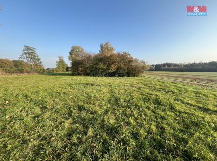 Prodej - pozemek, trvalý travní porost, 794 m²