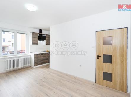 Prodej bytu, 1+kk, 22 m²