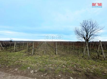 Prodej - pozemek, zemědělská půda, 944 m²