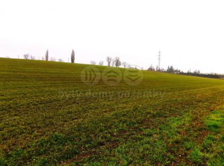 Prodej - pozemek, zemědělská půda, 20 031 m²