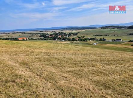 Prodej - pozemek, trvalý travní porost, 13 000 m²