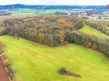 Prodej - pozemek, zemědělská půda, 6 403 m²