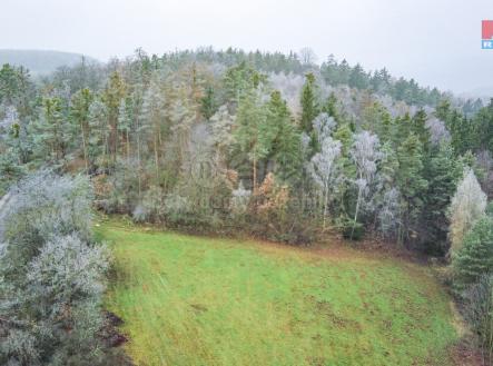 Prodej - pozemek, les, 5 337 m²