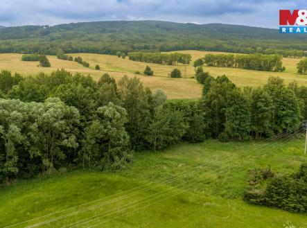 Prodej pozemku, trvalý travní porost, 4 178 m²