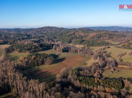 Prodej - pozemek, les, 25 838 m²