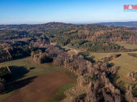 Prodej - pozemek, les, 25 838 m²