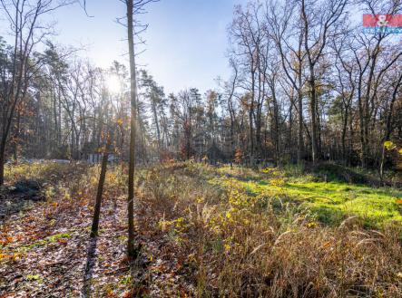 Prodej - pozemek pro bydlení, 3 143 m²