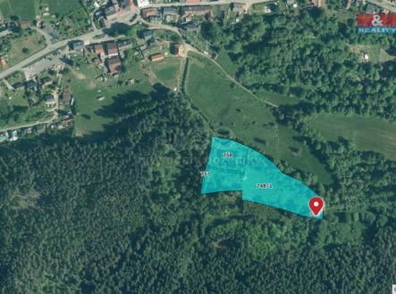 Prodej - pozemek, trvalý travní porost, 13 819 m²