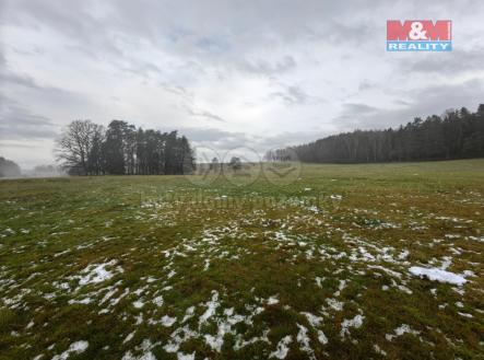 Prodej - pozemek, trvalý travní porost, 9 070 m²