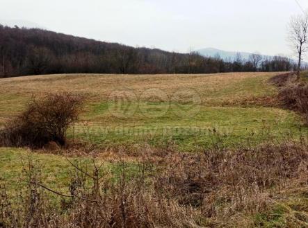 Prodej - pozemek, trvalý travní porost, 8 010 m²