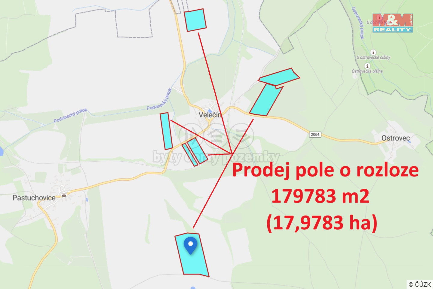 pole1 - kopie (2).jpeg