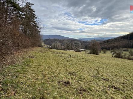 Prodej - pozemek, trvalý travní porost, 3 006 m²