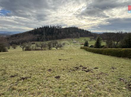 Prodej - pozemek, trvalý travní porost, 3 006 m²