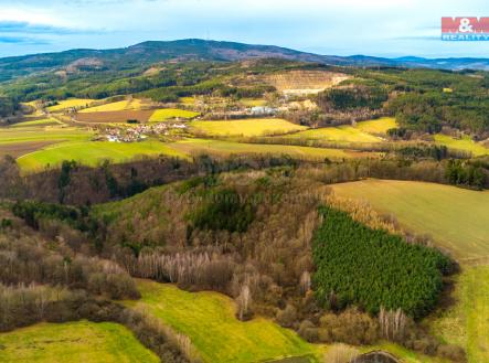 Prodej - pozemek, les, 1 257 m²