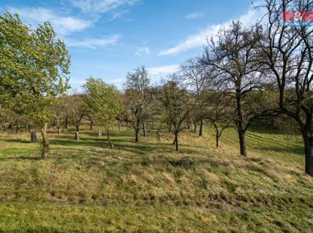 Prodej - pozemek, zemědělská půda, 1 397 m²