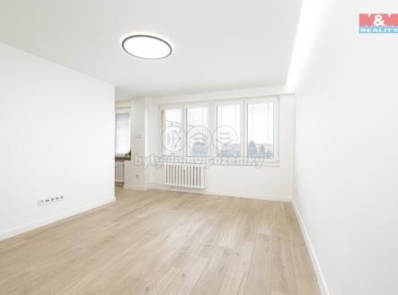 Pronájem bytu, 1+1, 29 m²