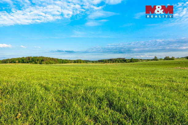 istockphoto-905420546-612x612.jpg