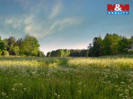 Prodej pozemku, trvalý travní porost, 5 225 m²