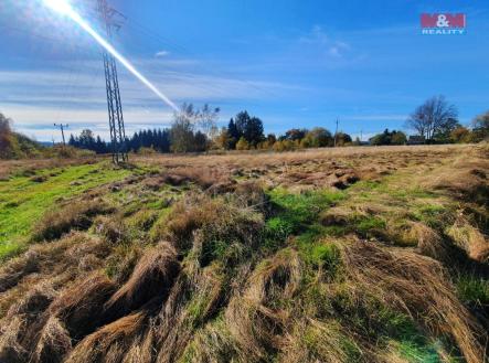 Prodej - pozemek, trvalý travní porost, 10 565 m²